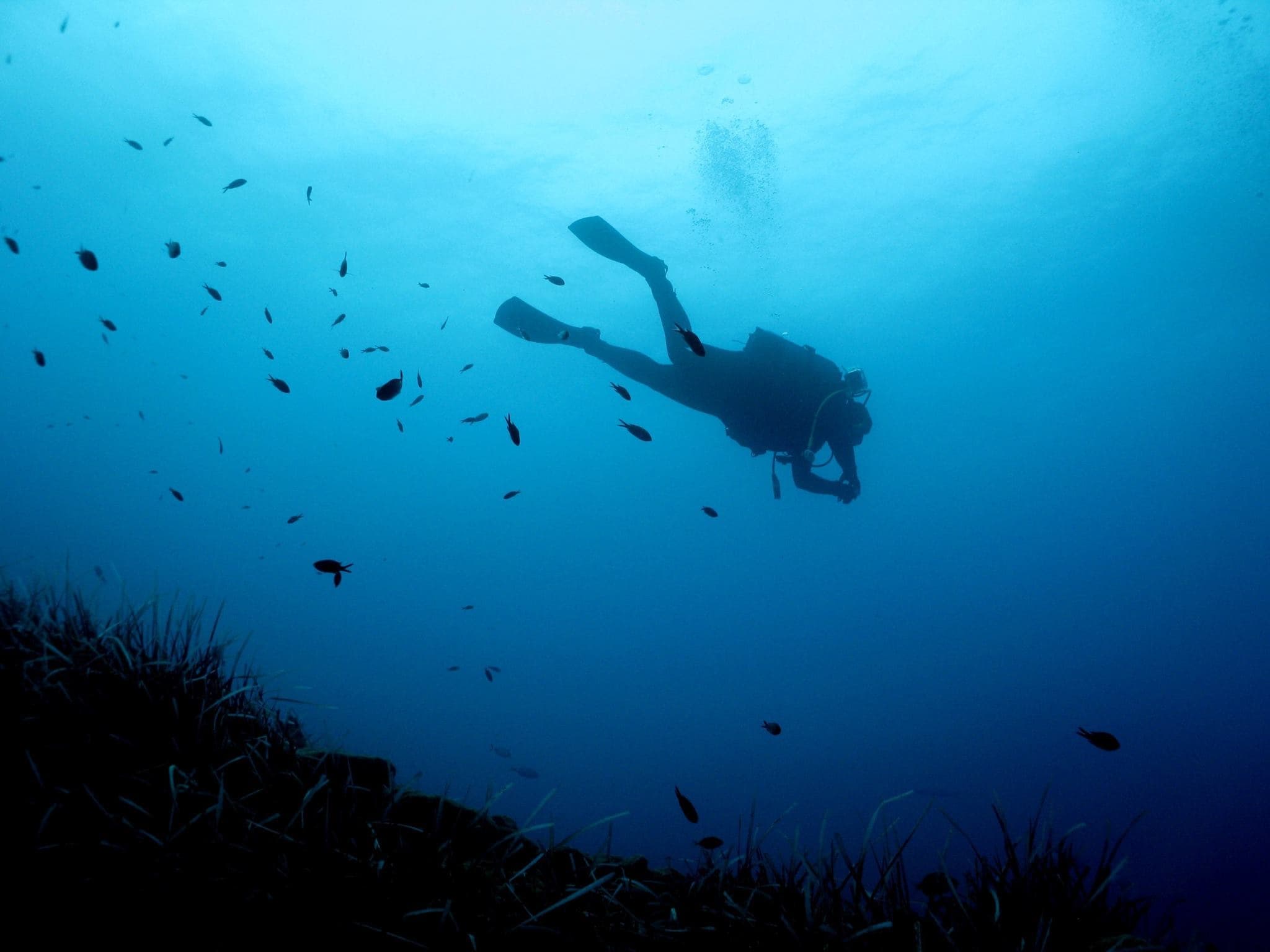 Mediterranean Adventure Dives with Kanelakis Diving Experiences