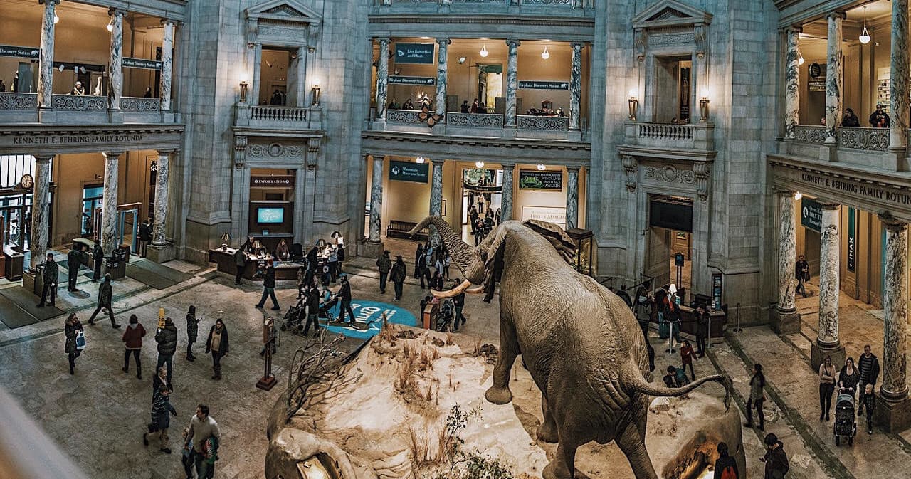 Explore Washington D.C.’s Smithsonian Museums: Natural History Meets American History in a Semi-Private Tour photo 1