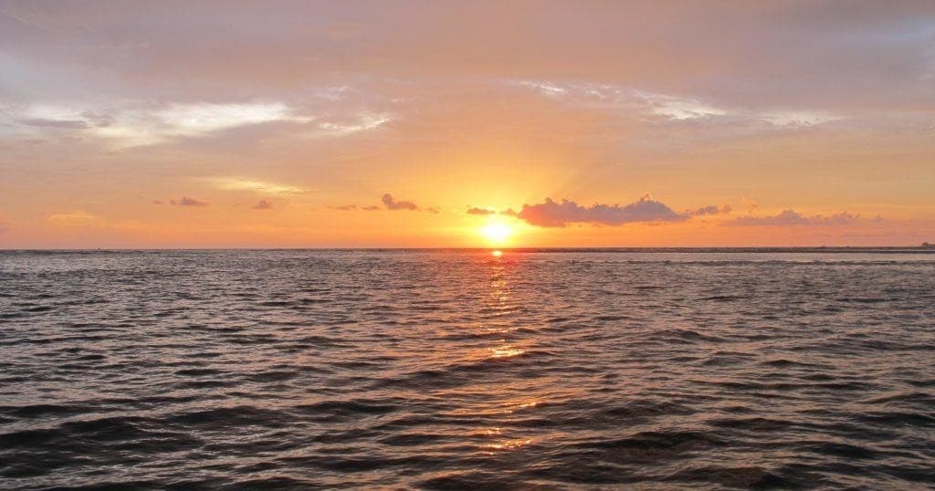 Dolphin and Sunset Adventure | Private in Bradenton Beach, Florida