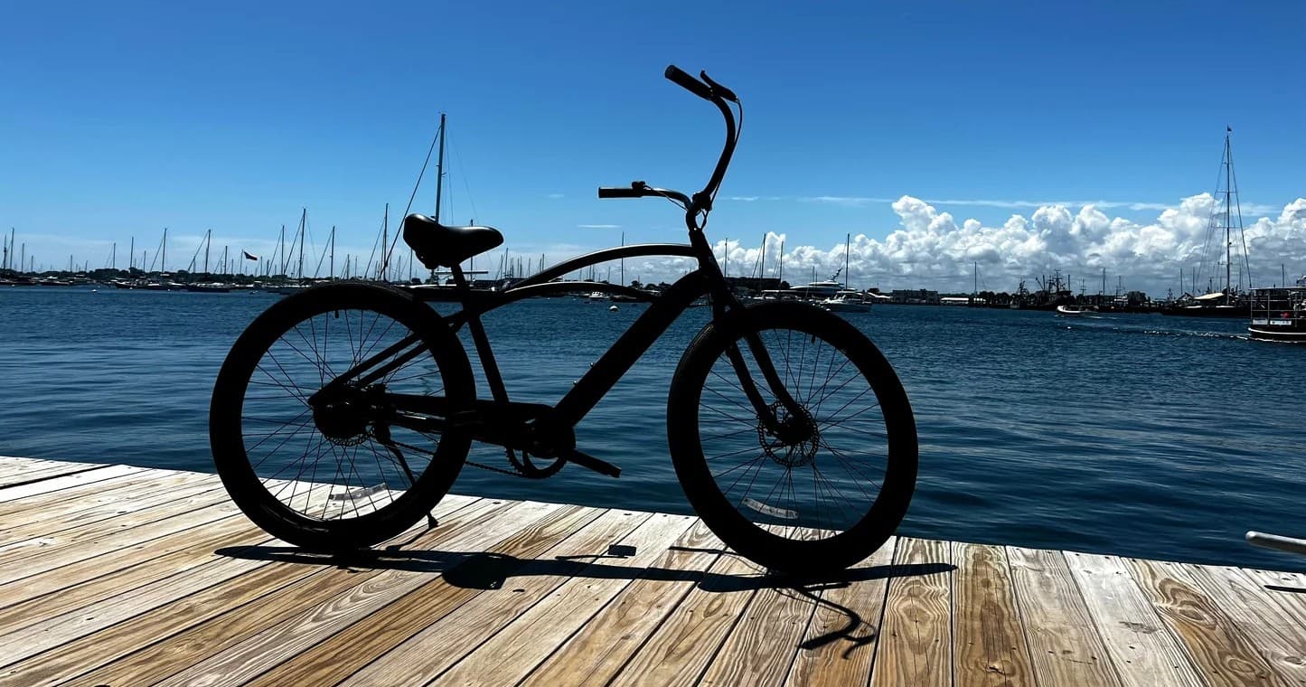 Trek Townie GO! E-Bike Rentals by Island Adventures Inc.