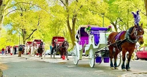 Classic Central Park Horse Tour: 20-Minute Carriage Ride Through Iconic Sights
