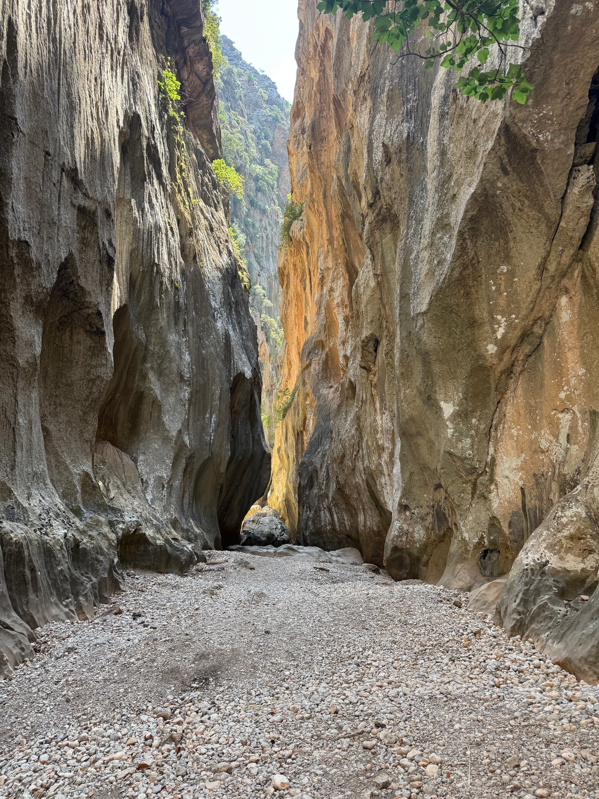 Difficult Canyon Hike in Mallorca with Ibiza Hike Station