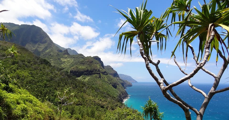 Tropical Kauai coastline with dramatic cliffs and ocean view