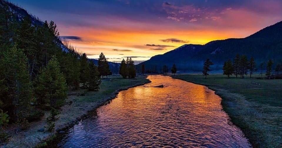 Guided Yellowstone Tour | Guided Tour in Moran, Wyoming