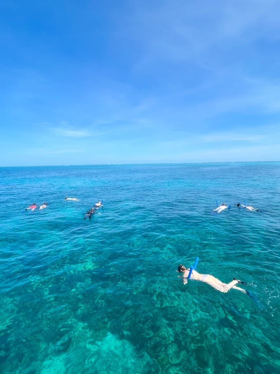 Snorkeling Boat Trip in Islamorada: Swim with Turtles and Rays on the Florida Keys Reef photo 1