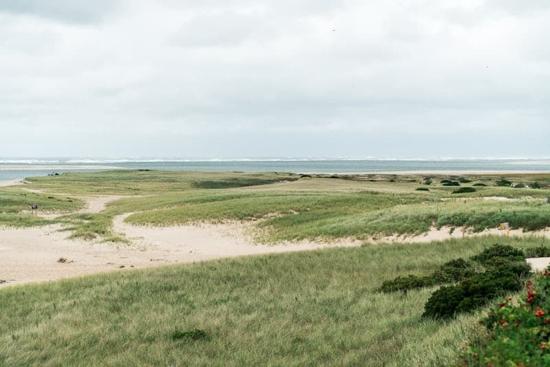 Coastal dunes and beach grass under overcast sky, seaside