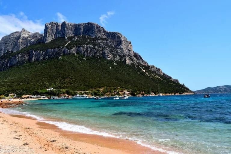 Boat Charter & Scenic Cruises with Babitours in Sardinia