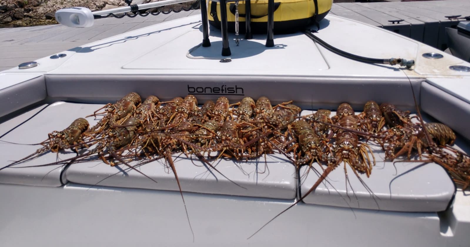 Key West Lobstering with Fish N FL in Venice, Louisiana