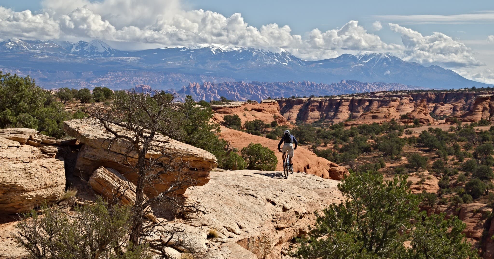 Magnificent 7 Mountain Biking Adventure with Whole Enchilada Shuttle