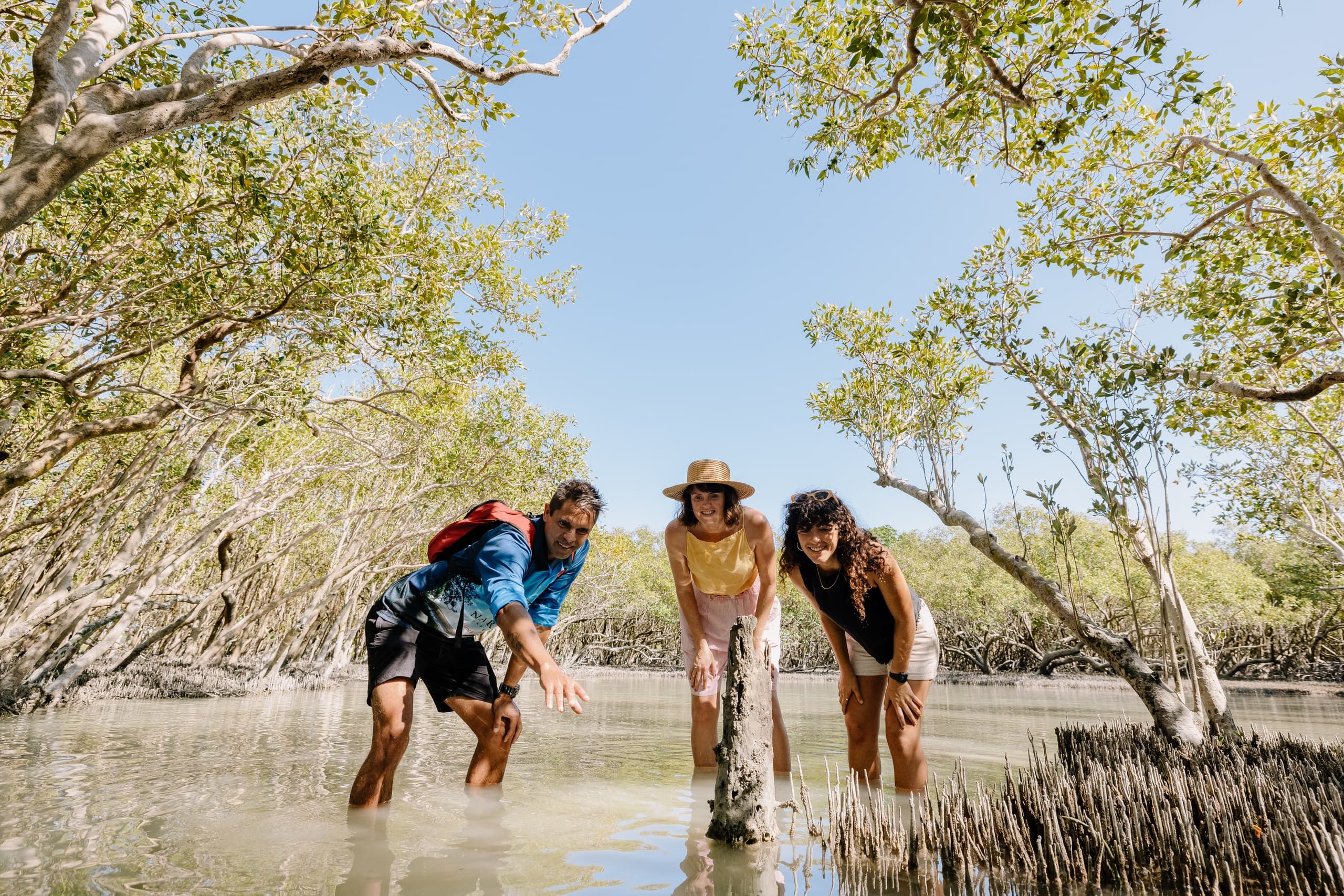 Mangrove Walk with Narlijia Cultural Tours in Broome