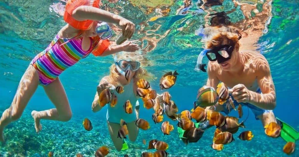 2-Hour Waikiki Snorkel Adventure in Honolulu