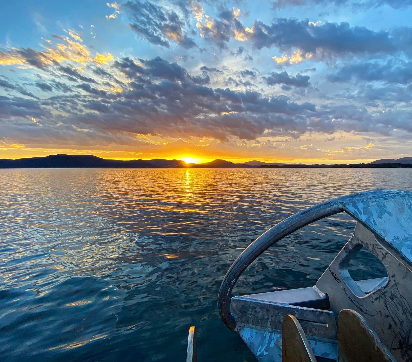 Scenic Evening Cruise in Paterson Inlet: Wildlife and Golden Hour Magic on Rakiura