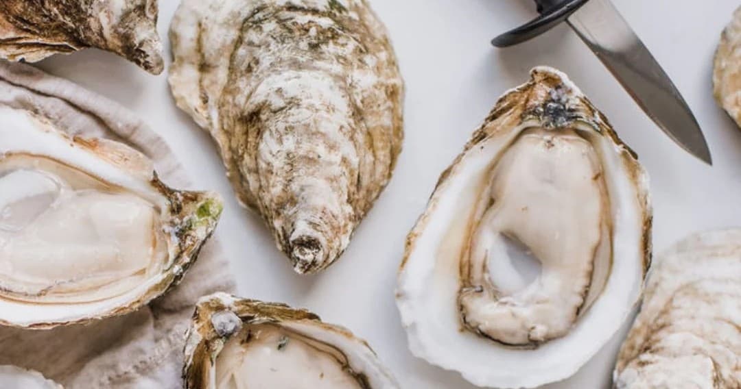 Oysters on half shell with shucking knife, coastal seafood tasting