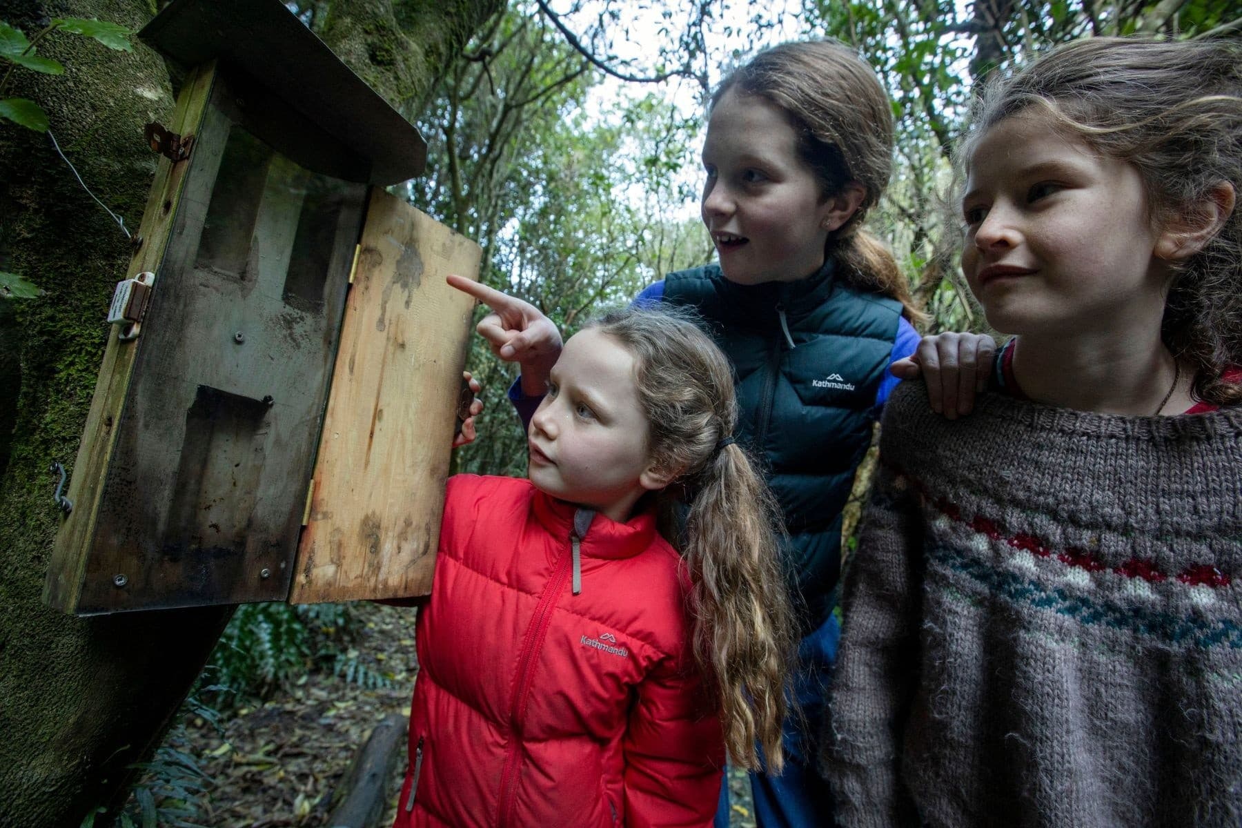 Junior Rangers at Brook Waimārama Sanctuary: Kids Conservation Adventures in Nelson photo 4