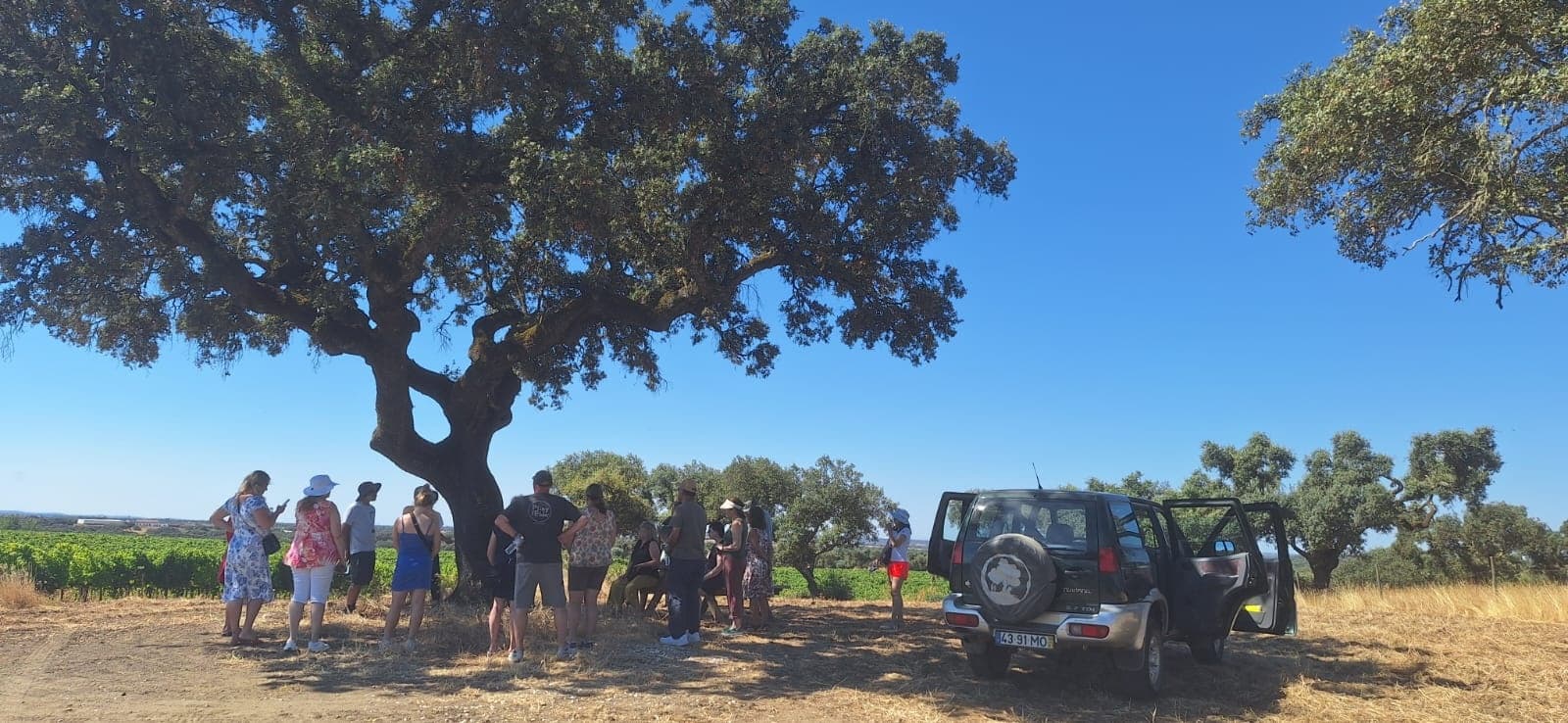 Guided cork oak trek with group and 4x4 under tree