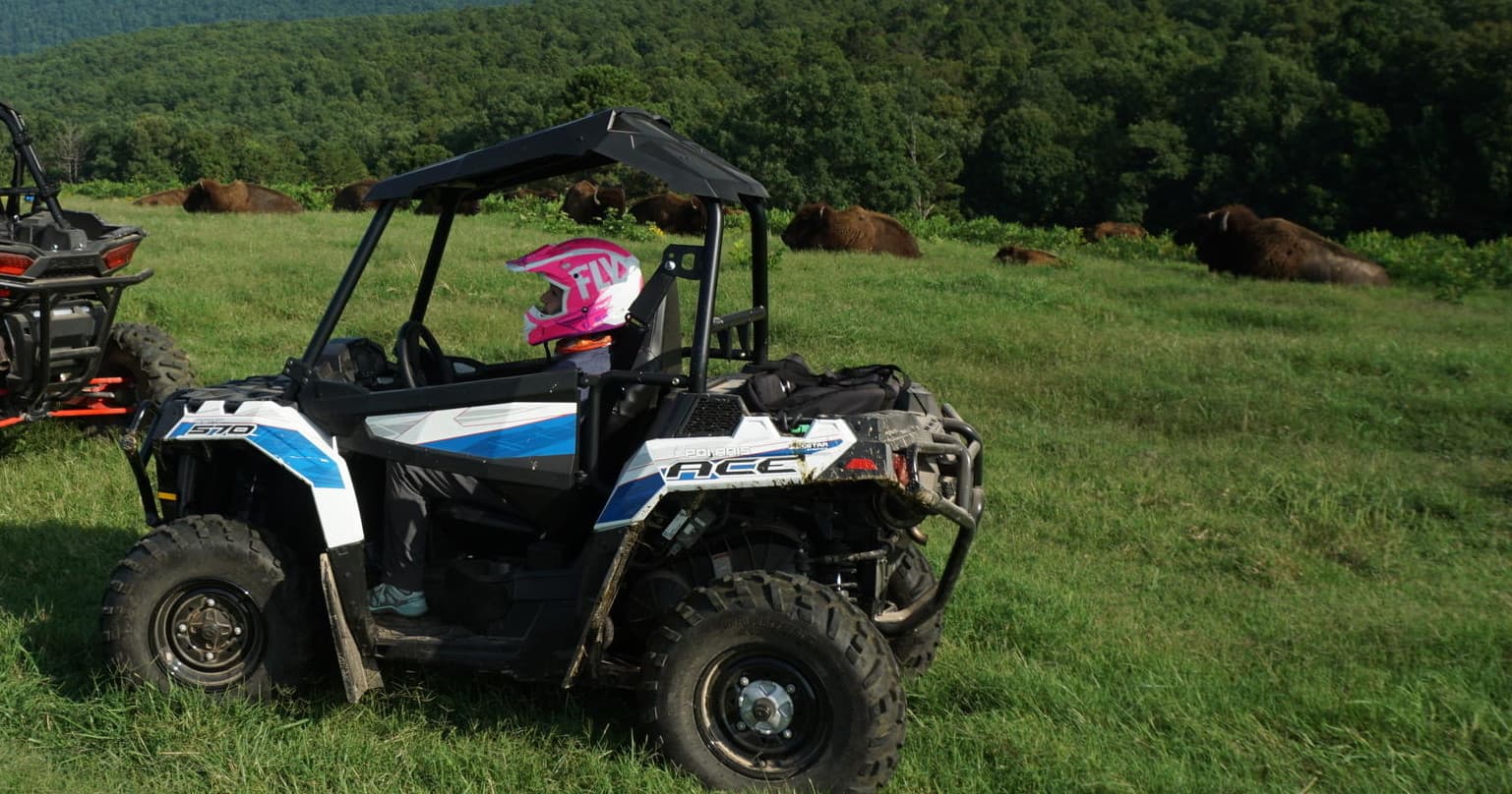 Annual Off-Road Pass at Wilderness Rider in Arkansas