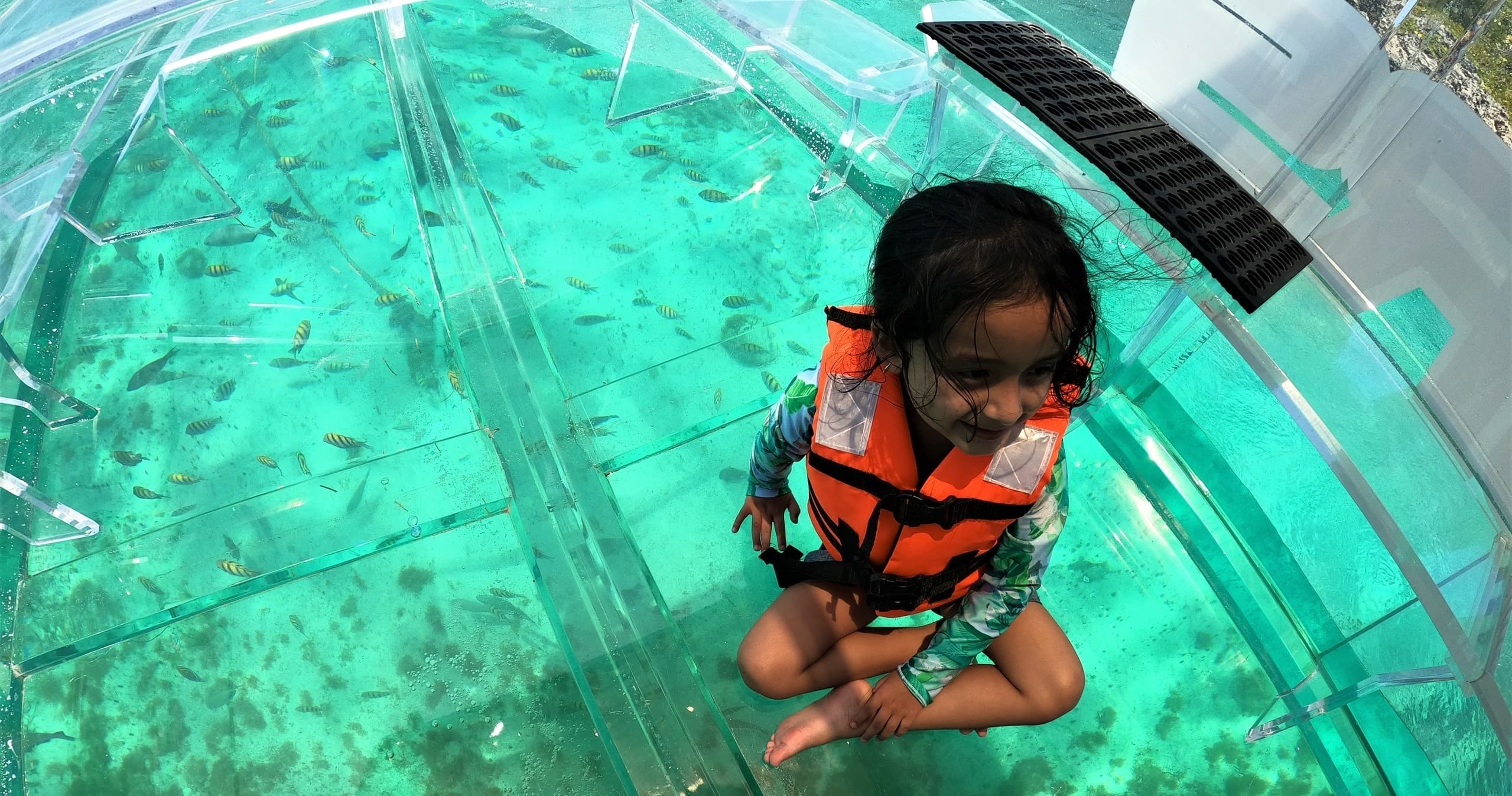 Water-Activities & Envatours: Private Island Adventure at Isla Mujeres
