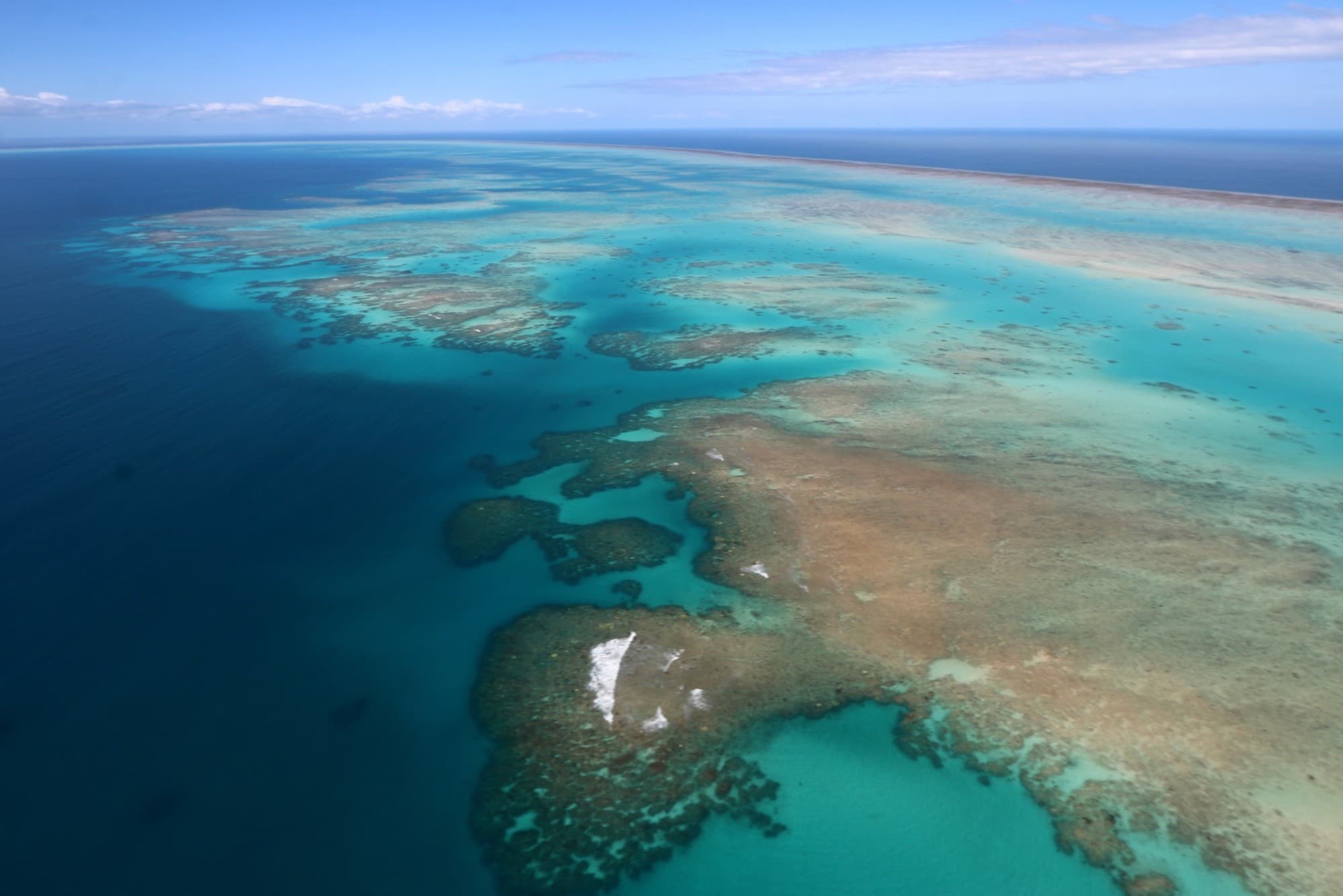 Reef & Rainforest From Above: 45-Minute Cairns Helicopter Scenic Flight photo 1