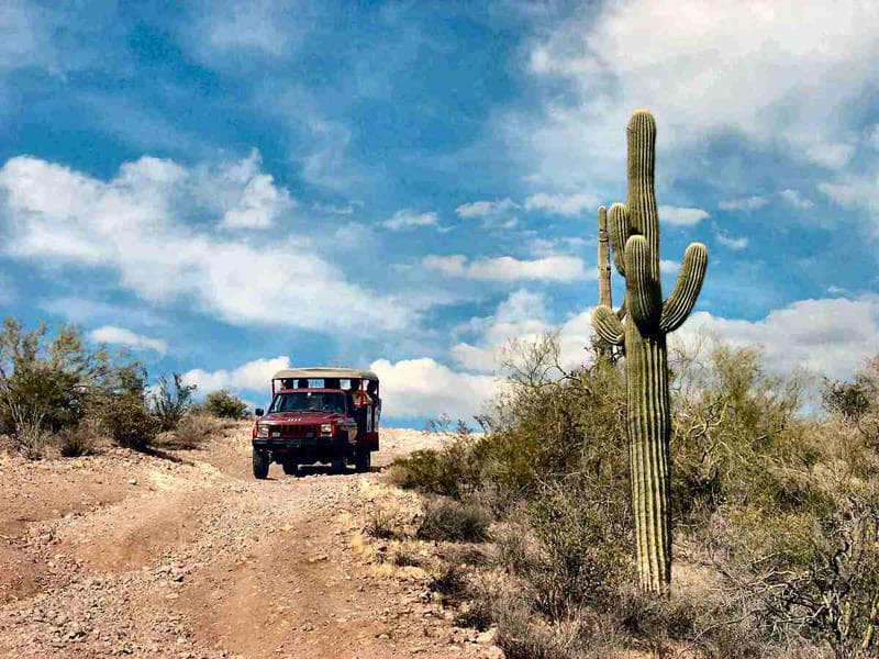 Apache Trail Tours fleet