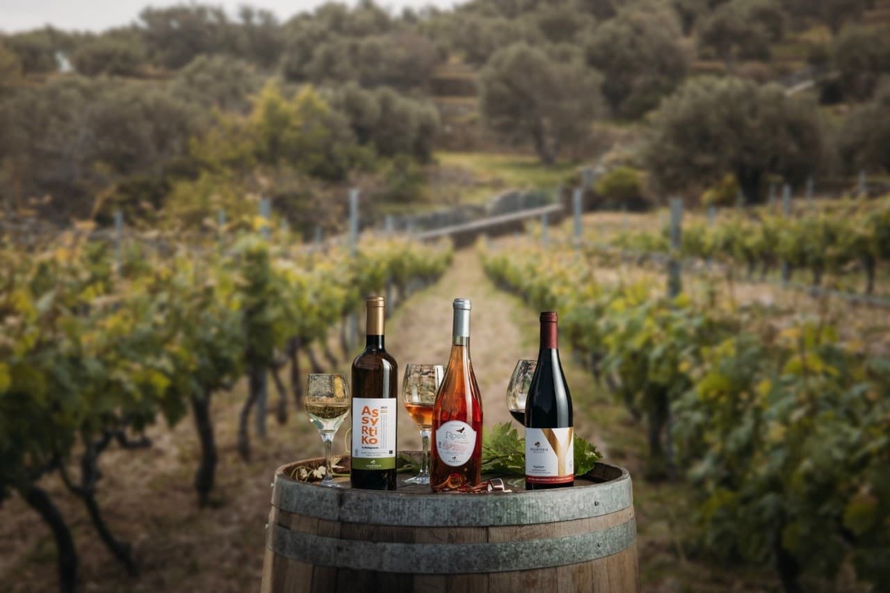 Stenies to Kourtesis: Andros Half-Day Wine & Maritime Village Tour