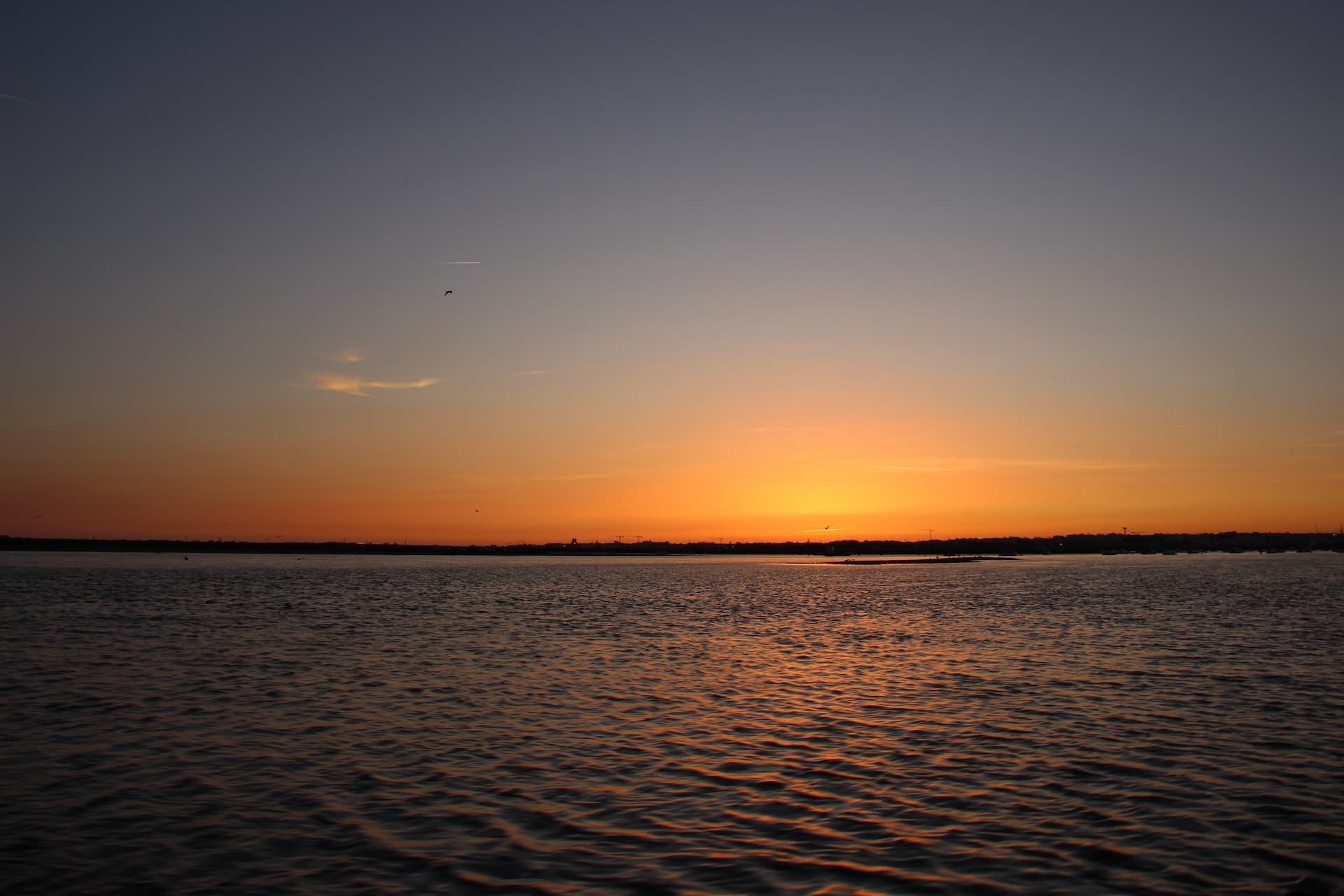 Sunset Boat Tour with Natura Algarve in Olhão, Portugal