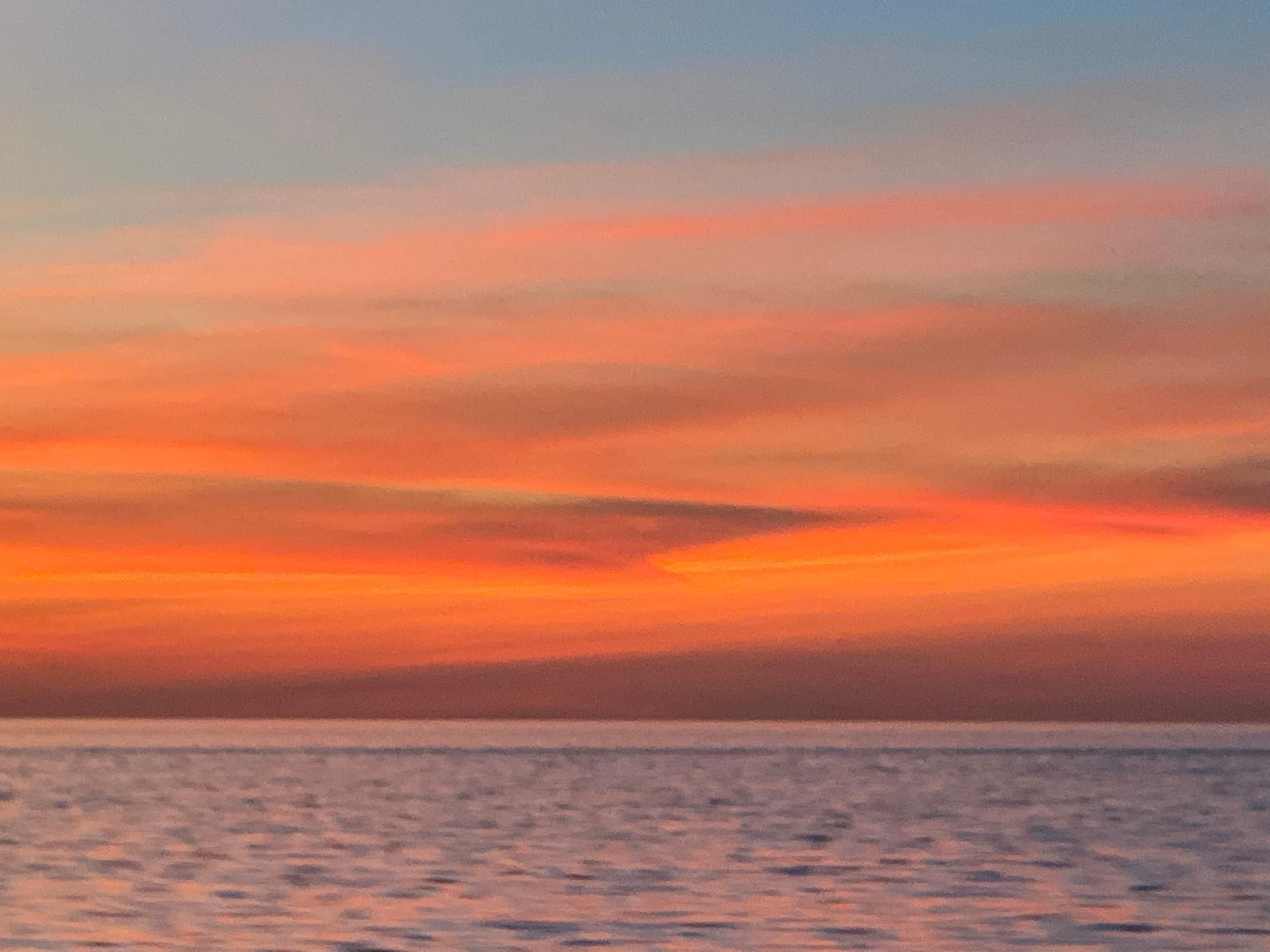 Sunset Cruise with Banyan Charters in Marco Island