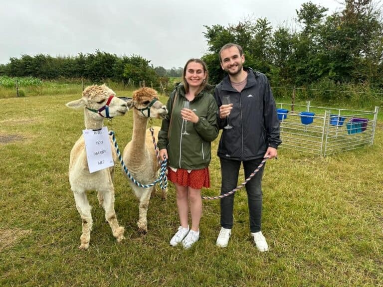 Land-Adventures at Cary Alpacas in Somerset