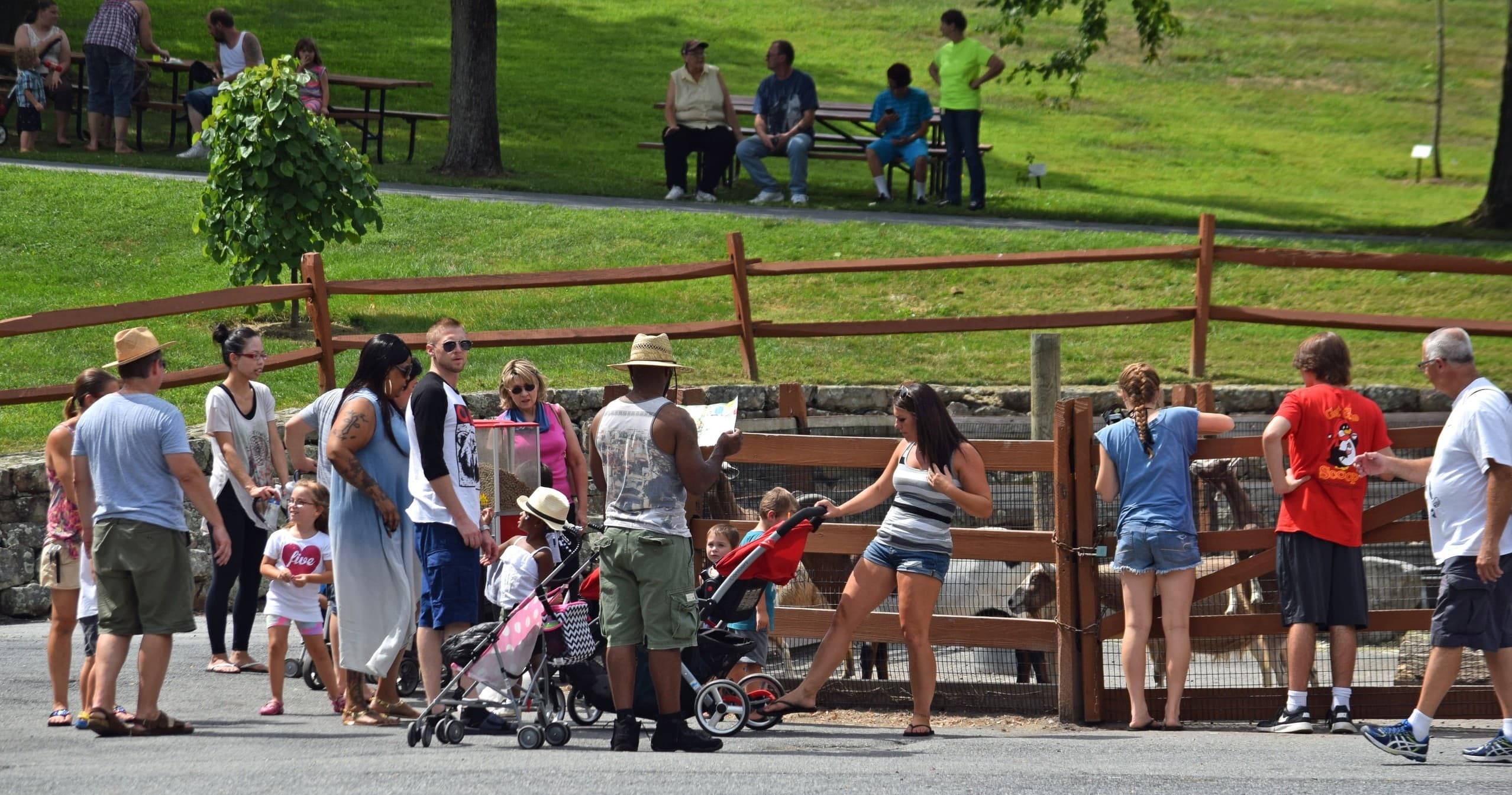 Plan the Ultimate Group Outing at Lehigh Valley Zoo: Feedings, Tours & Rentals photo 3