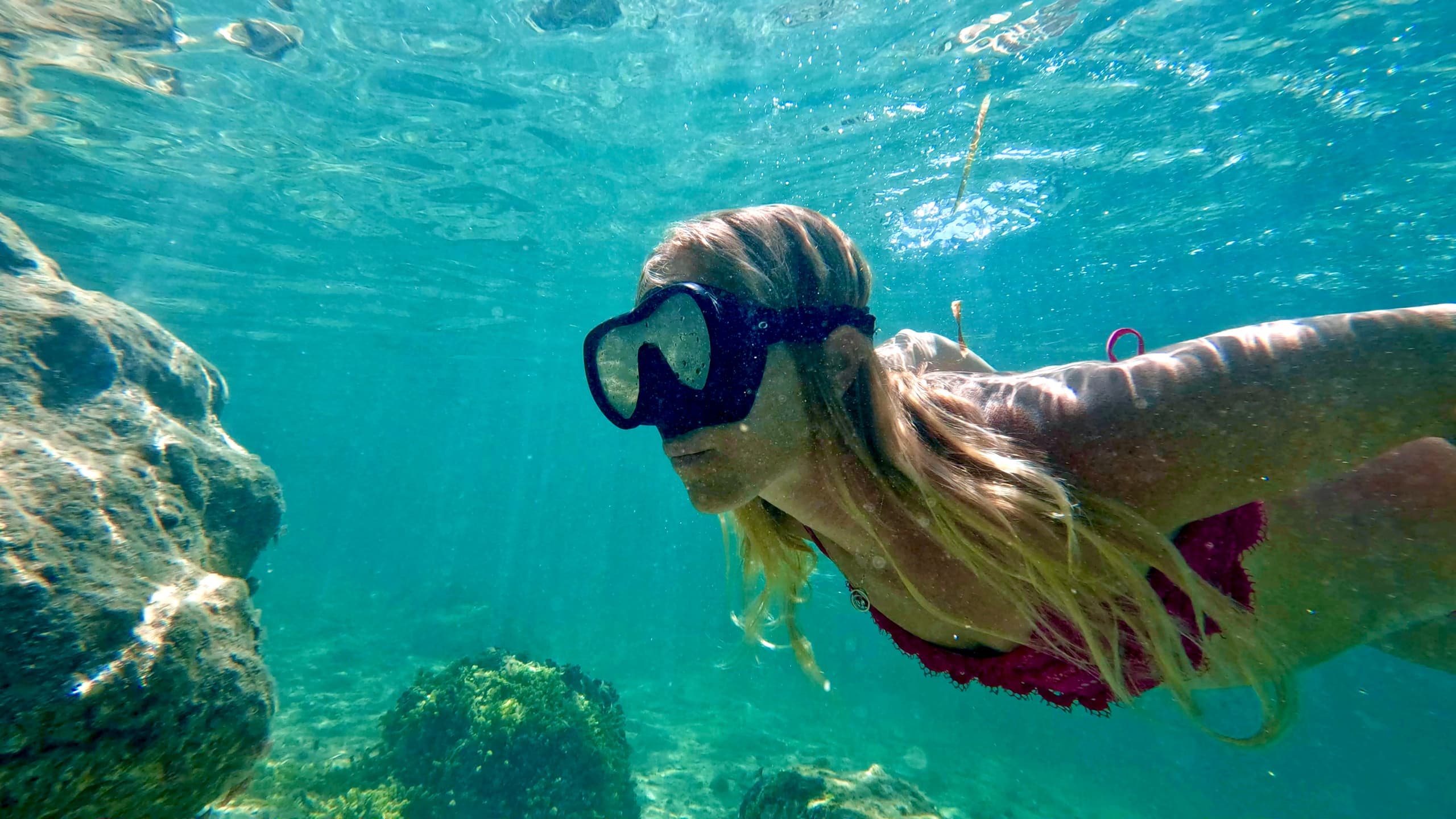 Discover Vibrant Marine Life on a Guided Snorkel Tour in West Palm Beach
