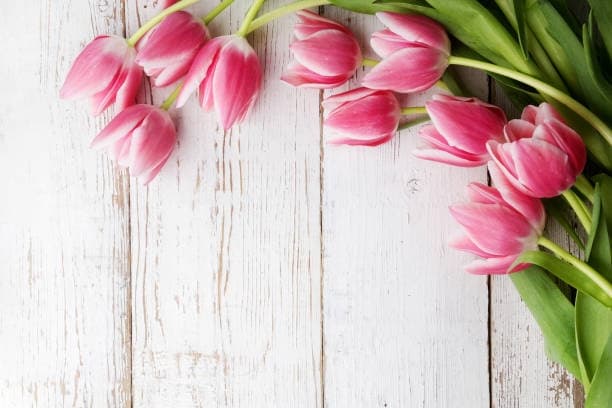 Mother's Day Dinner Cruise Experience in Peoria, AZ
