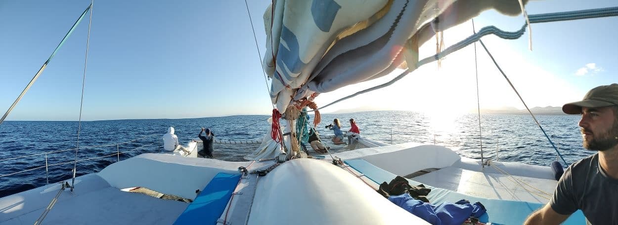 Lanzarote Sunset Catamaran with WeWhale Canarias SL