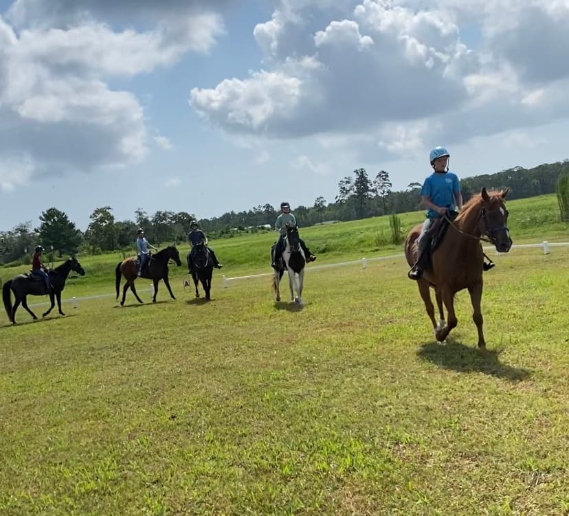 Horseback Riding Lessons at Florida Agricultural Museum