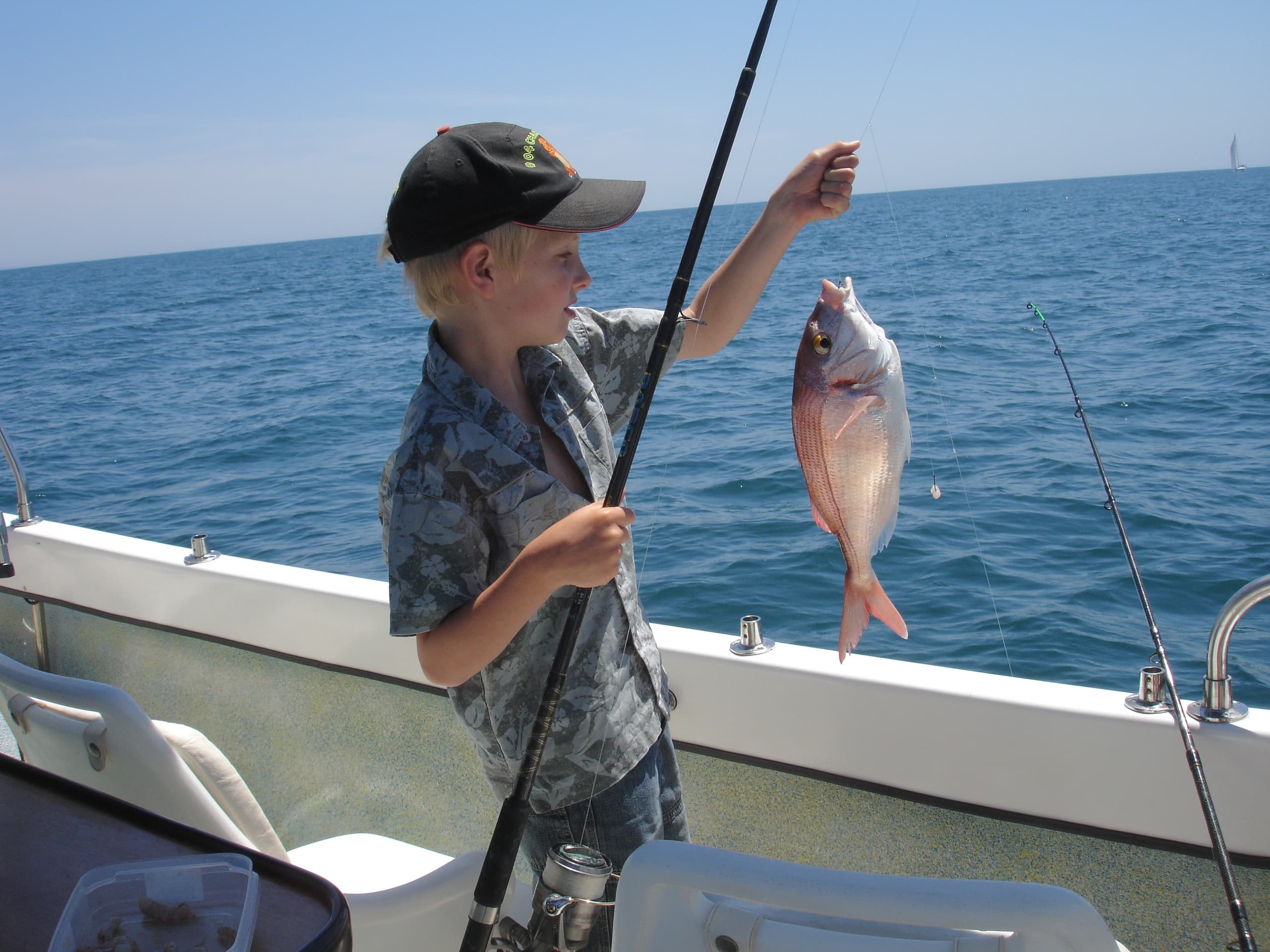 Costa d'Oiro fleet