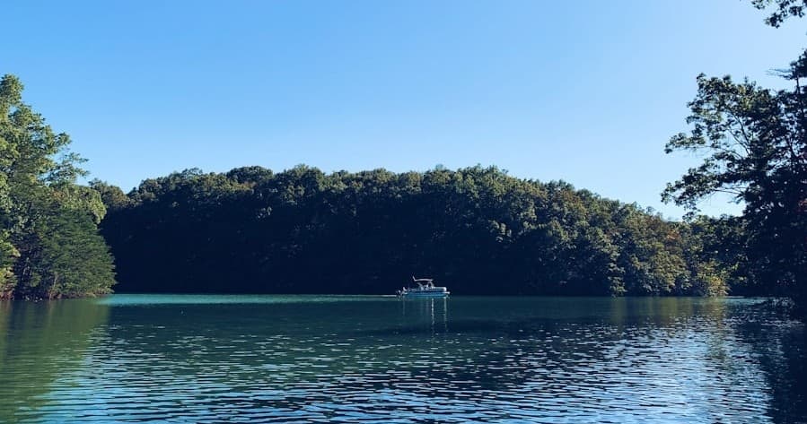 Sarasota Bay Eco-Cruise: Dolphins, Manatees and Mangrove Islands with Captain Doug