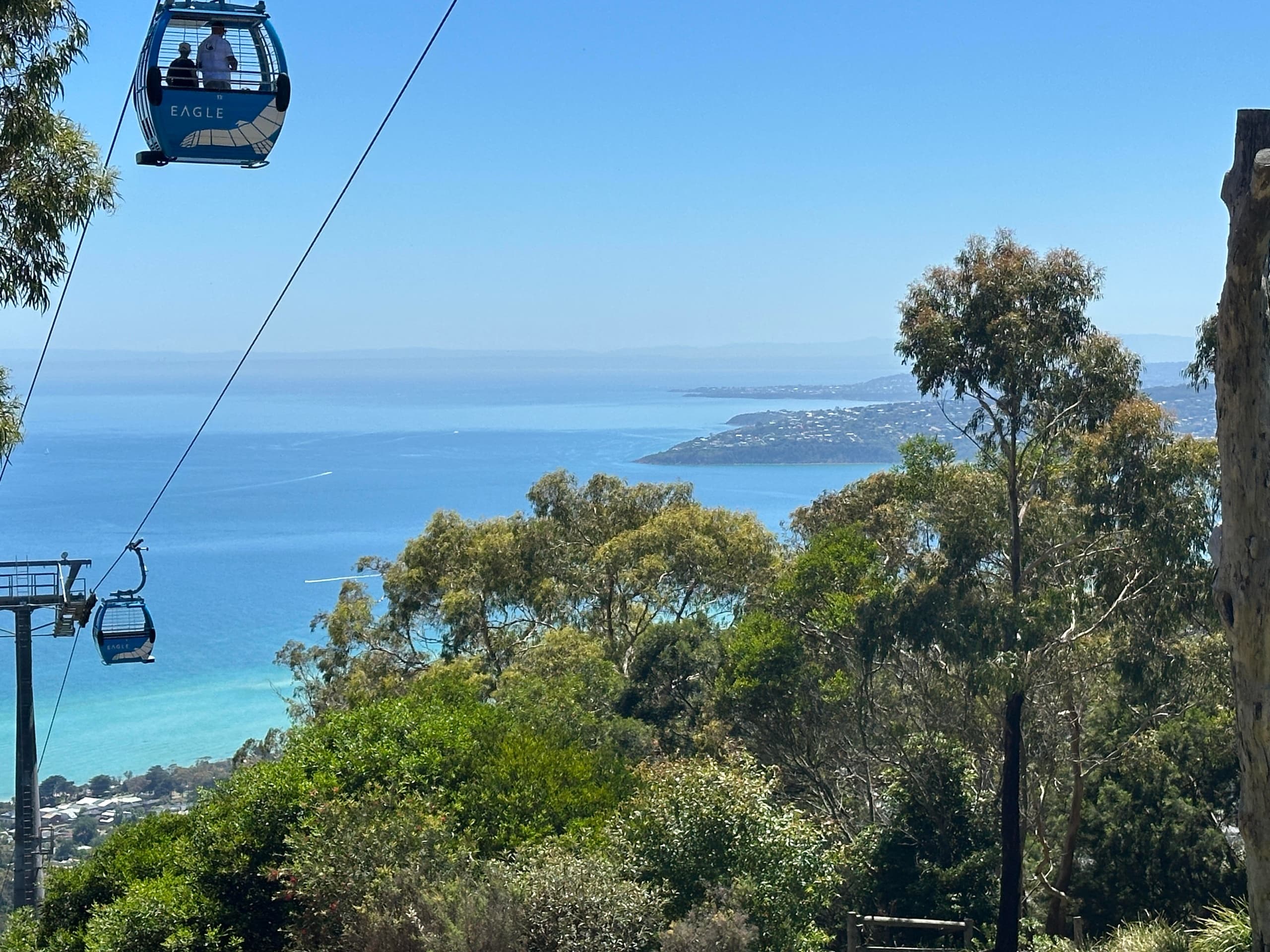 Land Adventures at MP Scenic on Mornington Peninsula
