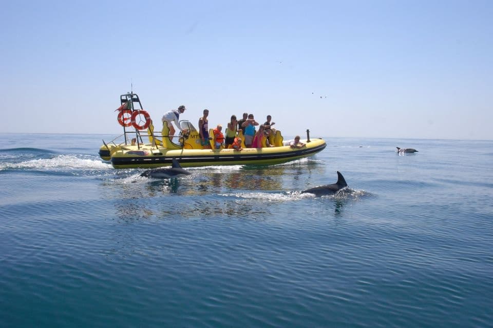 Algarve Caves & Dolphin Tours with Dream Wave