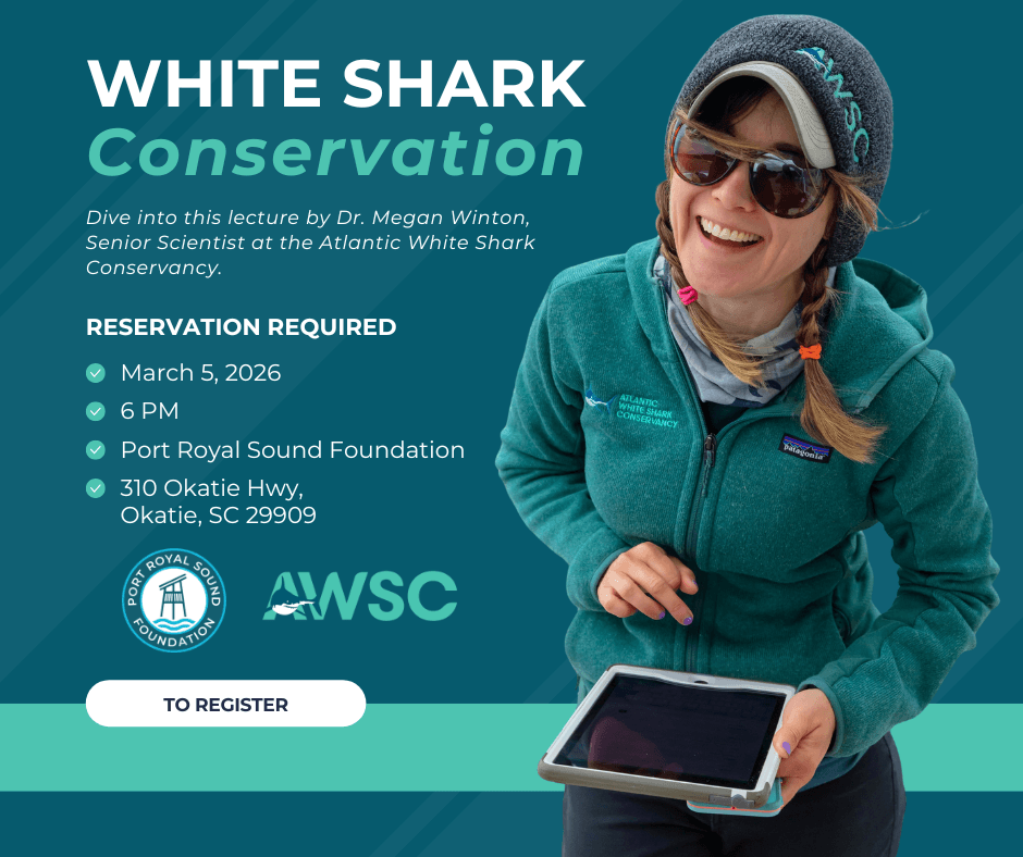 Inside PRSF's White Shark Conservation Lecture: Science, Safety, and Local Action