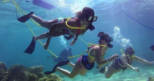 Guided Snorkel Tour in Honolulu, Hawaii