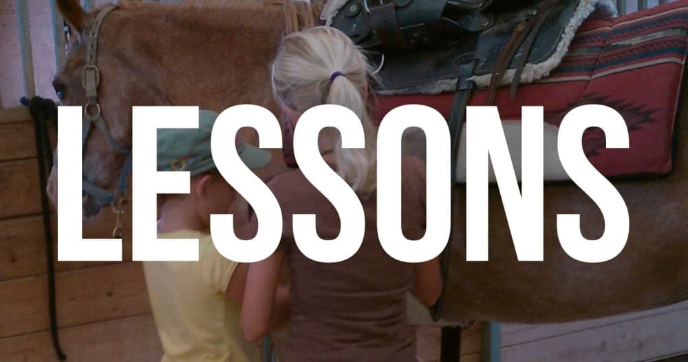Children grooming lesson with horse in stable during riding program