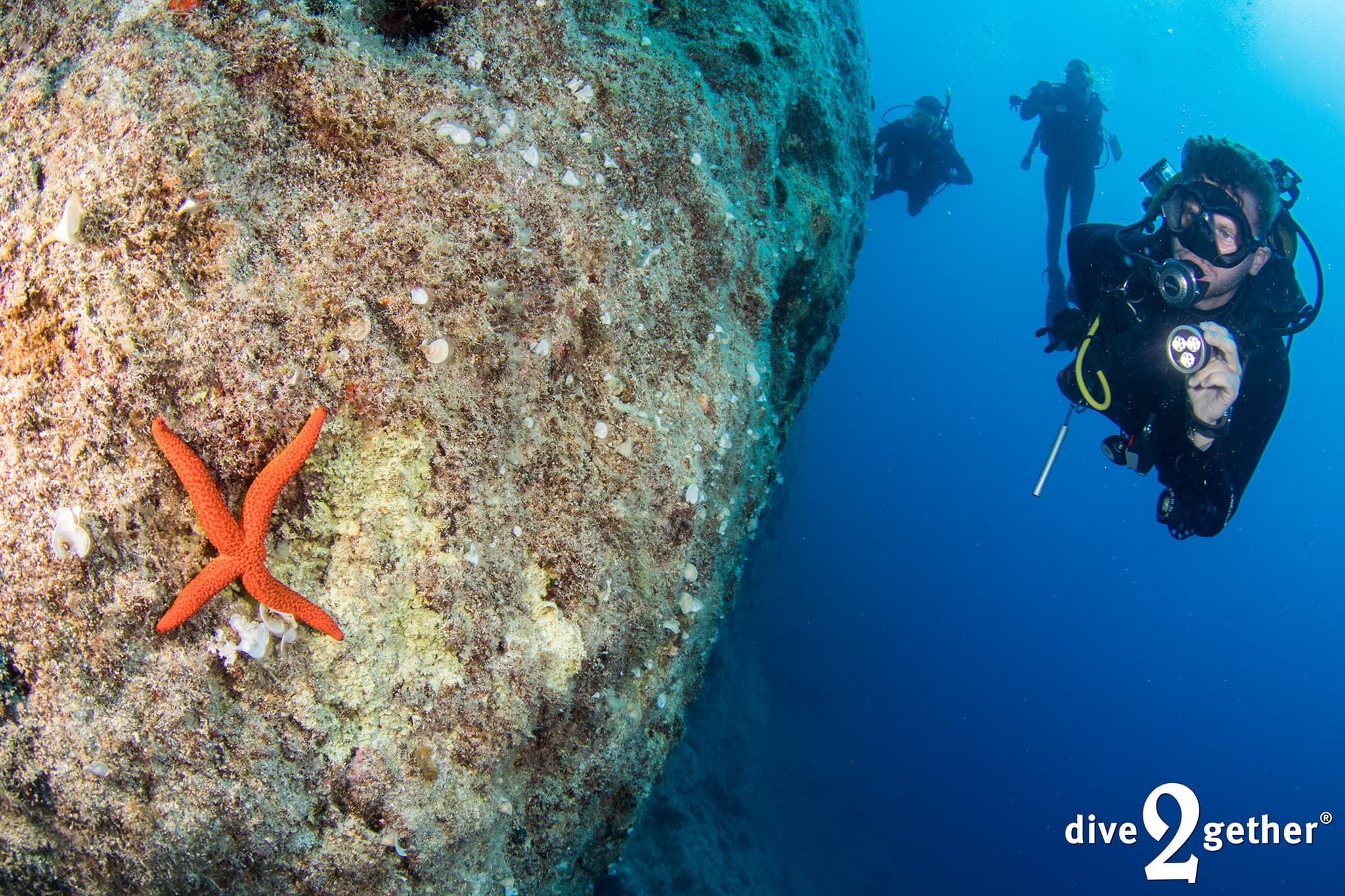 Plakias Shore Dives: Two Immersive Shore Dives with 30m Visibility on Crete photo 4