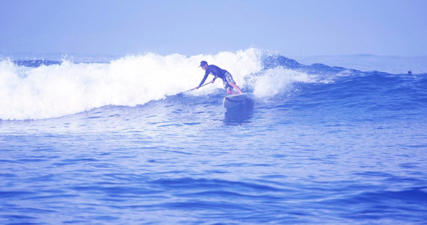 Surfer carving through a blue wave showcasing dynamic surf action