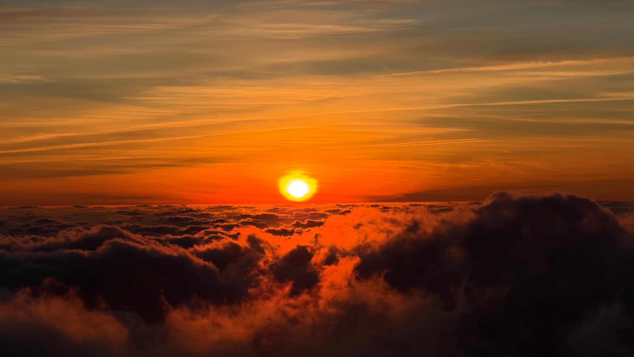 Above-the-Clouds Sunrise Tour in Madeira: Mountain Views from Santa Cruz photo 1