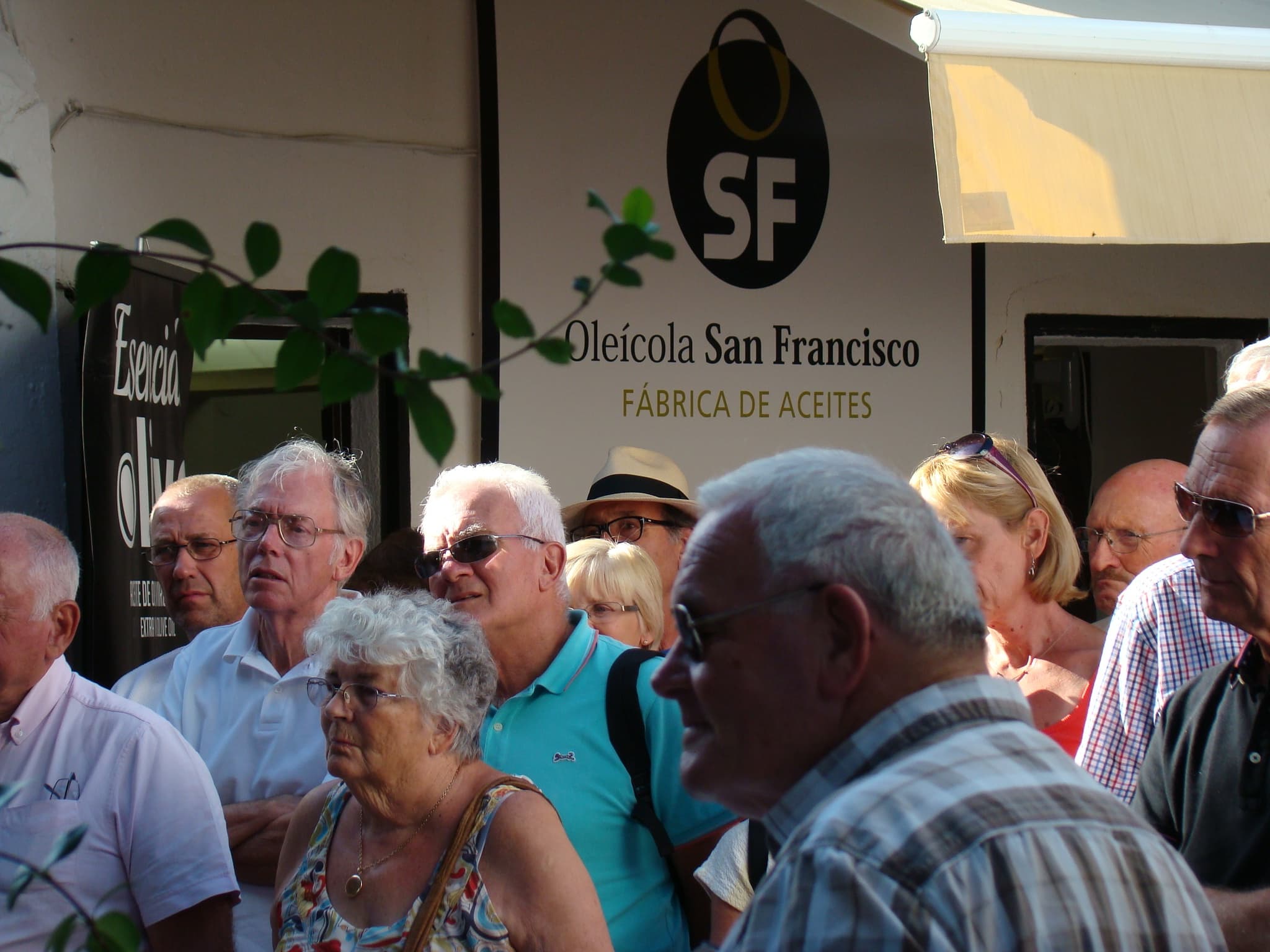Inside Jaen’s Olive Gold: Oleícola San Francisco Tour, Tasting & Tapas