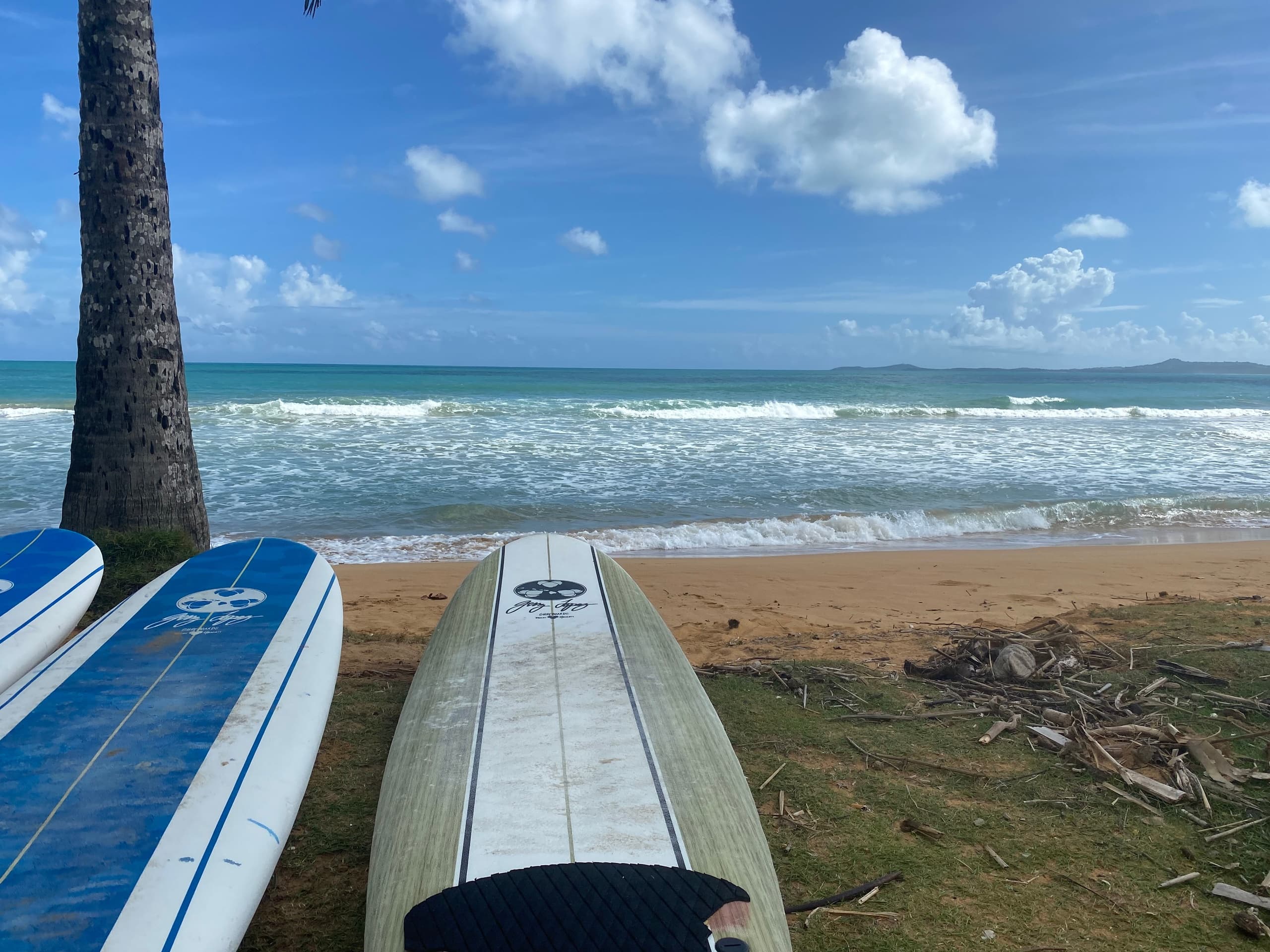Rainforest Beach Lessons team