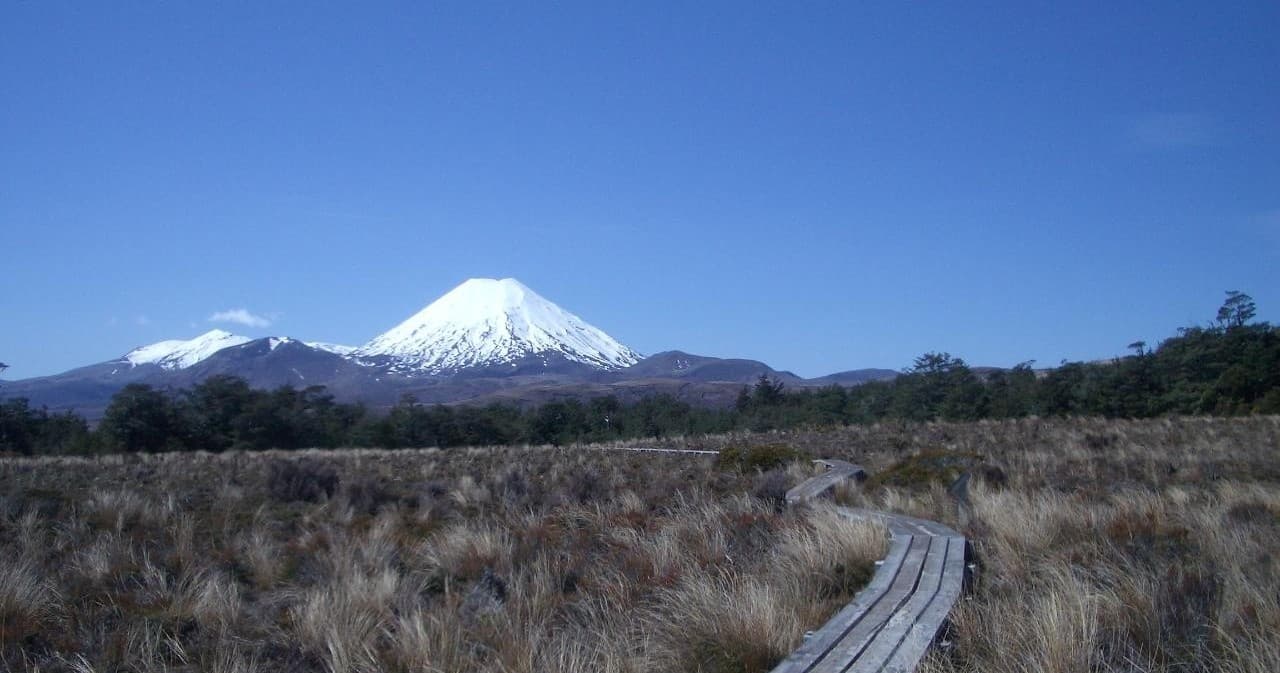 North Island Adventures with TIME Unlimited Tours
