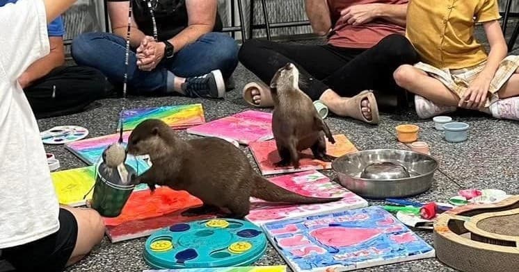 Painting with Otters in Bremen, Ohio: Make an Ottergraph at Paws and Claws Encounters