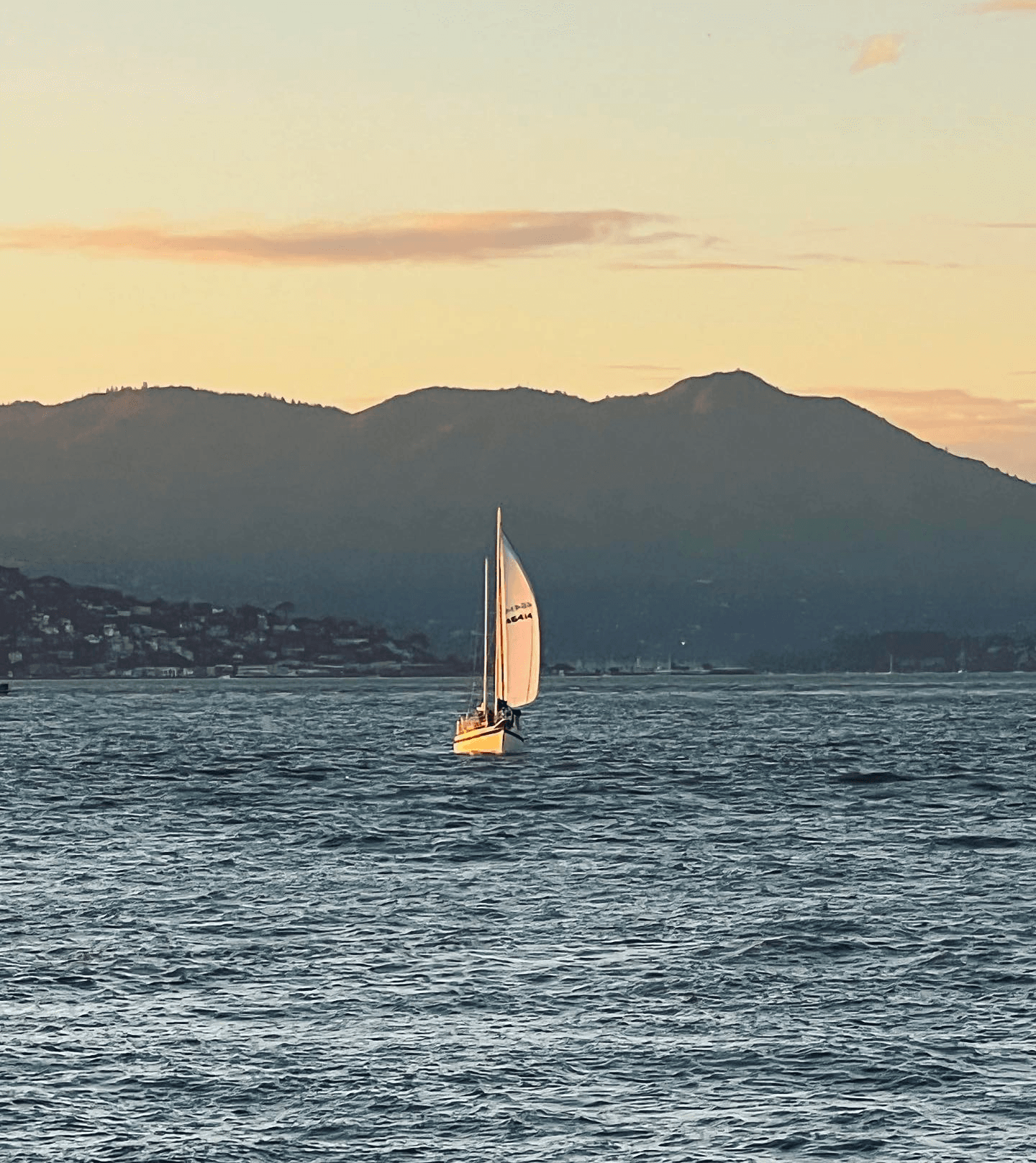 90 Minute Sail Adventure in San Francisco Bay