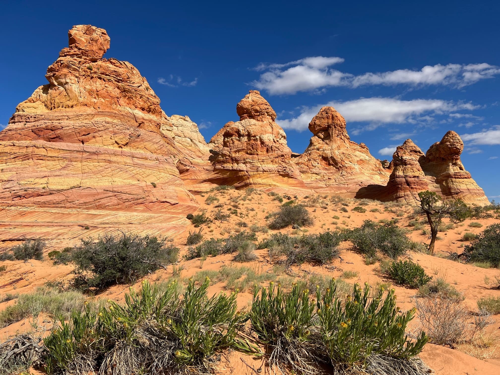 Wide hoodoos and sandstone formations under blue sky in Utah