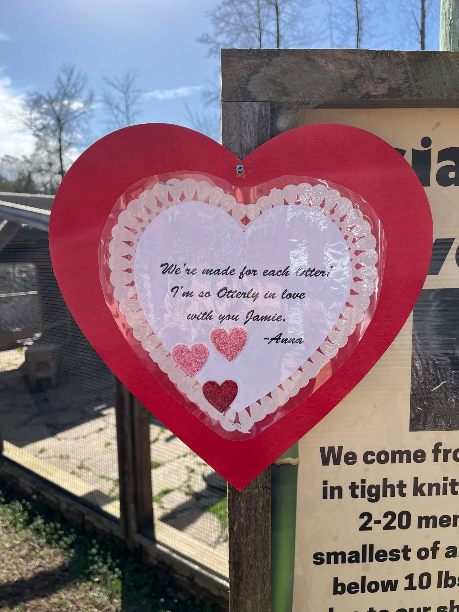 Share-a-Heart: Sponsor a Valentine's Message at North Georgia Zoo in Cleveland, GA photo 3