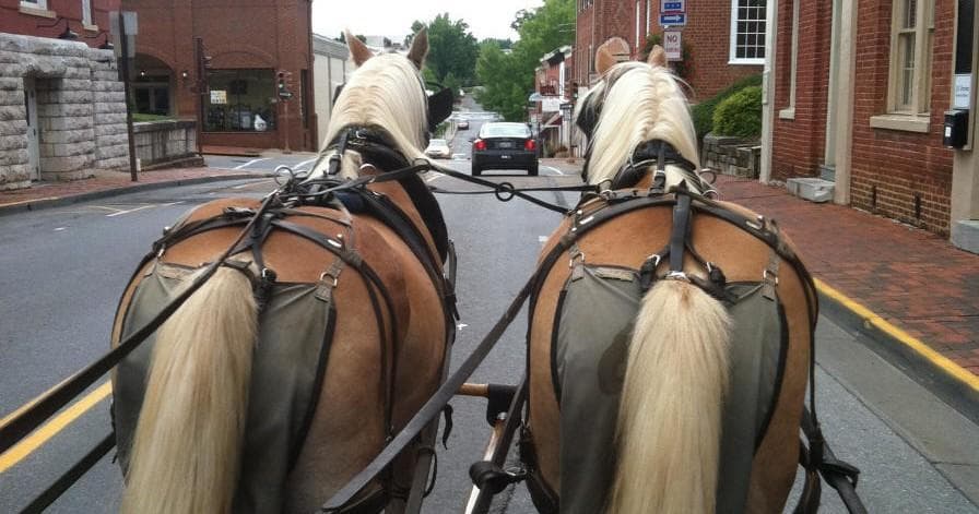 Explore Lexington Virginia by Private Horse-Drawn Carriage: A Historical Journey Through Time
